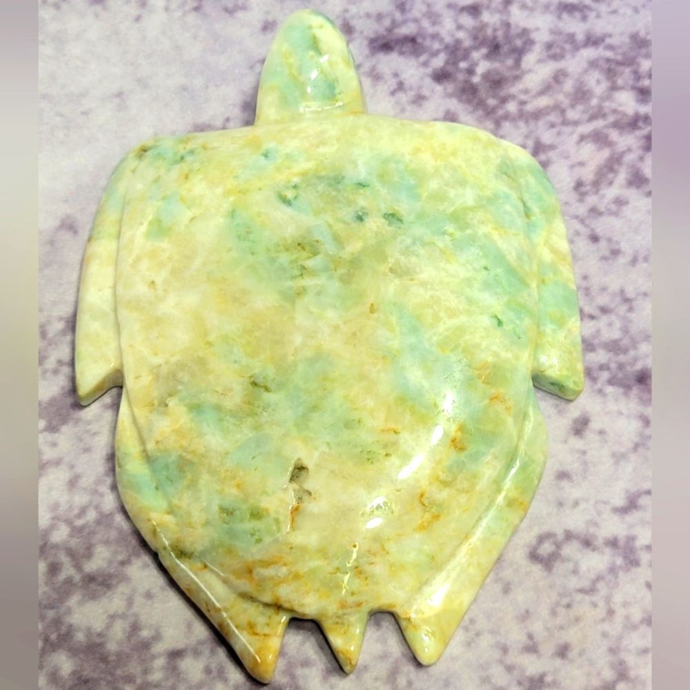 Caribbean Calcite Sea Turtle‎
